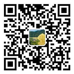 彩神IV登录